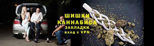 индика Балабаново